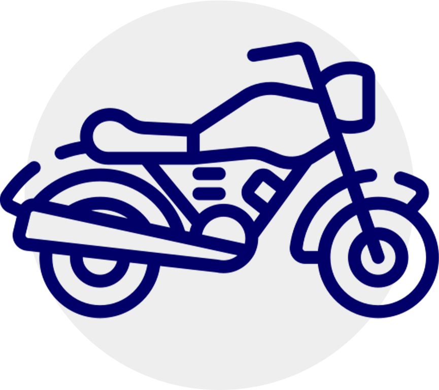 تنوع مدل‌ ها